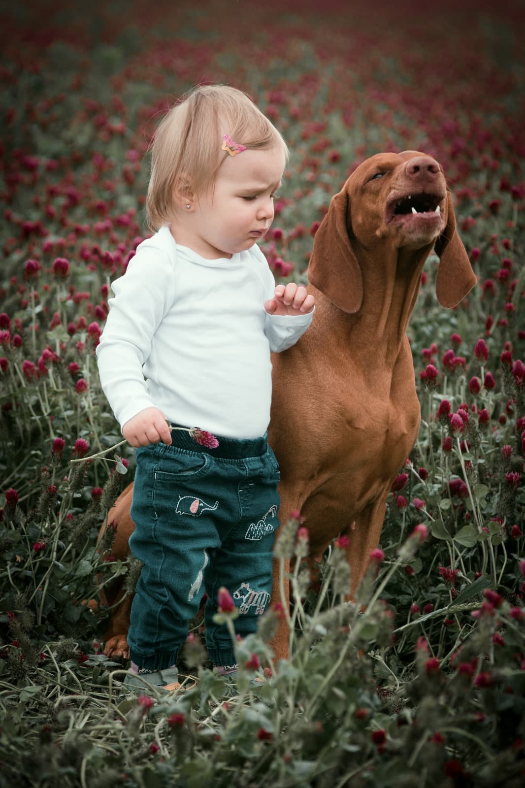 Amy Lady Caniley — fotka 1