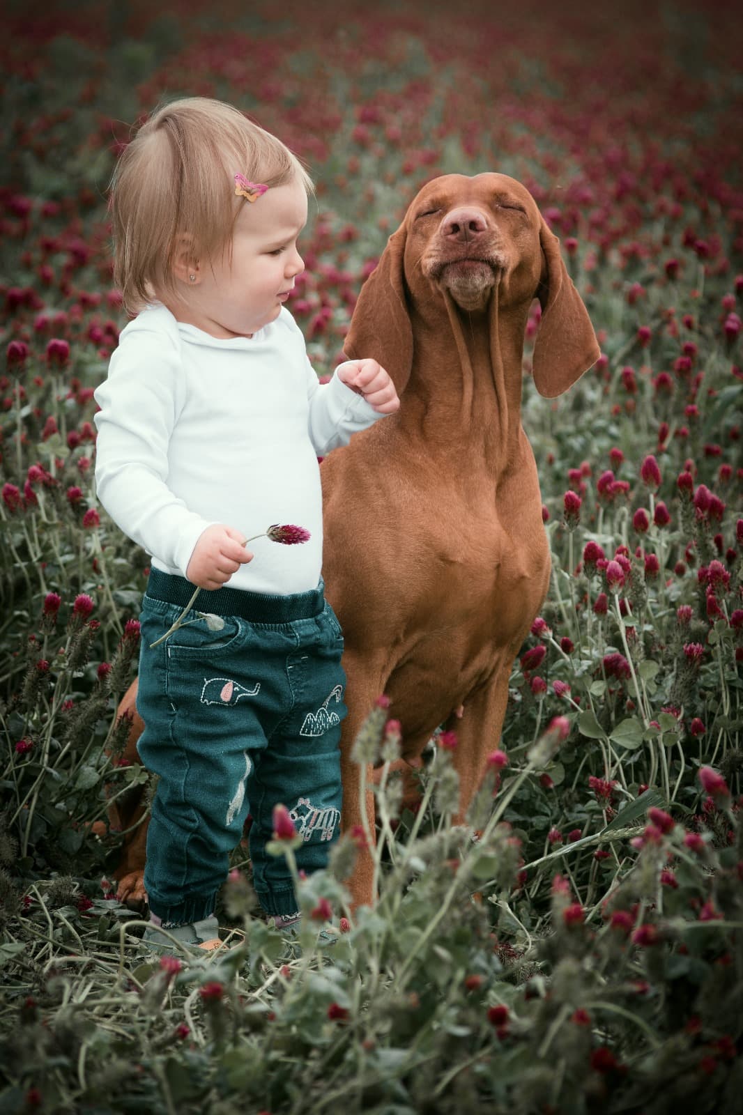 Amy Lady Caniley — fotka 4